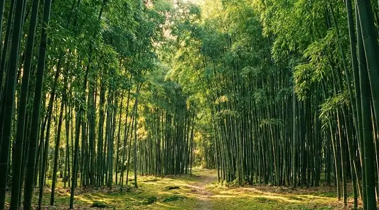 Tre và Vai Trò Quan Trọng Của Dinh Dưỡng