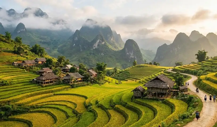 Tây Bắc - Thiên Đường Đa Dạng Sinh Học Của Tre Việt Nam